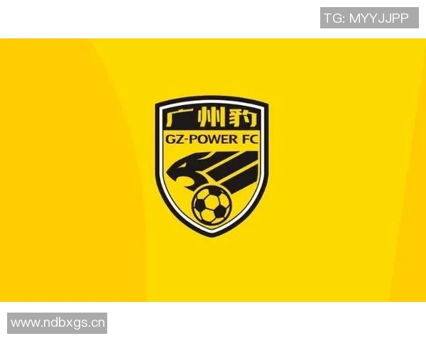 广州豹官方回应个别球迷违法行为公安已介入处理确保赛场秩序